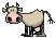 moo-cow